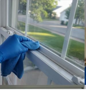 Professional Window Cleaning